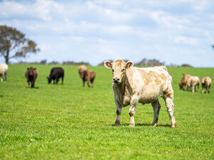 Agriculture